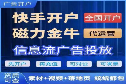 百度广告投放策略与效果评估案例